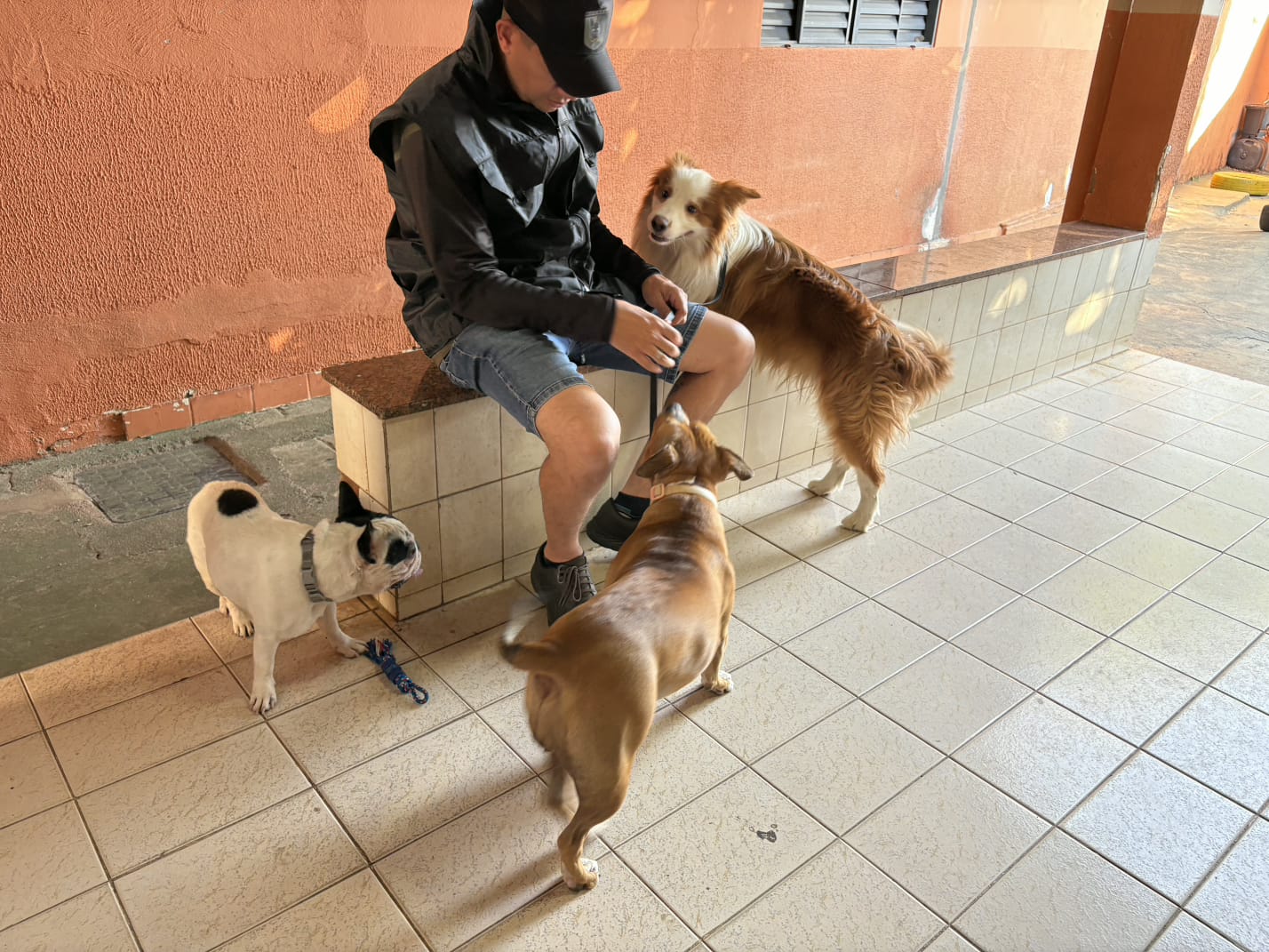 Guilherme com três cães de porte pequeno e médio