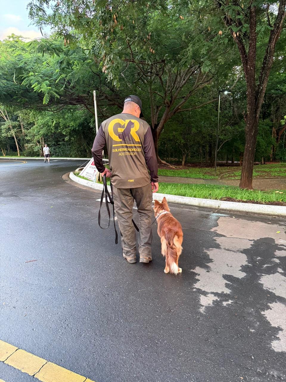 Guilherme de costas, com o logo GR na camisa, caminhando com um border collie na guia frouxa